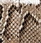 Blake Crossbody Bag in Natural Python swatch