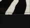 Blake Crossbody Bag in Zebra Print Haircalf and Black Leather swatch