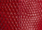 Blake Crossbody Bag in Ruby Lizard swatch
