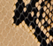 Liria Kitten Heel Sandal in Python-Embossed Taupe swatch